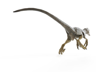 3d rendered illustration of a dakotaraptor