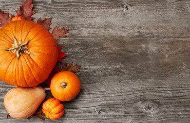 Thanksgiving background with pumpkins