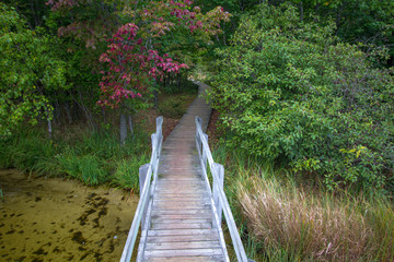 Autumn Forest Hike. Wooden boardwalk trail through fall foliage at Ludington State Park in Ludington, Michigan.