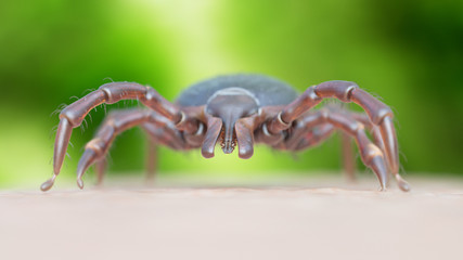 3d rendered illustration of a tick crawling on human skin