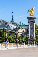 Pont Alexandre III Bridge (details) and Grand Palais. Paris, France - 224208269