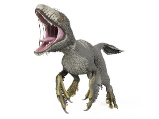 3d rendered illustration of a dakotaraptor © Sebastian Kaulitzki