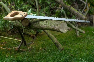 piła ręczna do cięcia drewna © Henryk Niestrój