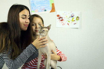 woman and child play with cat Sphinx, blue eyes, mother and daughter have fun