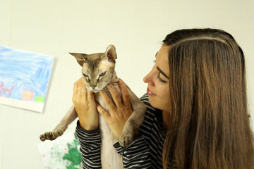 young attractive brunette woman playing with a Sphinx kitten hugging an animal