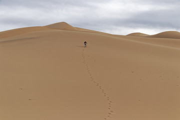 Fototapeta na wymiar Mongolia, Gobi Desert – lonely wanderer.