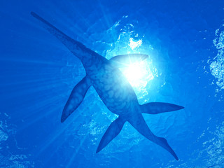 3d rendered illustration of a Shonisaurus