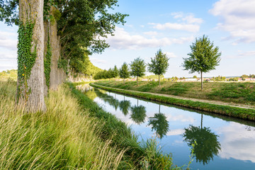 The tree lined canal of the river Marne in France with a towpath and young trees reflecting in the still waters, planted on the bank in place of the old diseased ones.