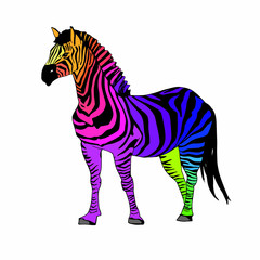 Fototapeta na wymiar Vector iridescent zebra on a white background, can be used for design of cards, book and magazine illustration, in textiles