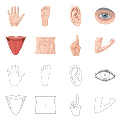 Fototapeta premium Vector design of human and part symbol. Set of human and woman stock symbol for web.