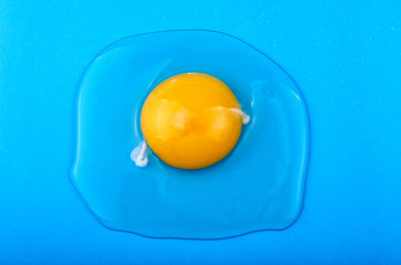 Raw egg on a blue background