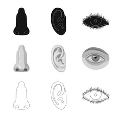 Isolated object of human and part sign. Collection of human and woman stock vector illustration.