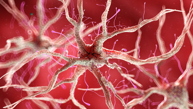 3d rendered medically accurate illustration of a healthy human nervous cell