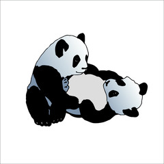 Vector images of a panda isolated on white background, can be used as a book and magazine illustration, in the design of cards, prints, textiles and other