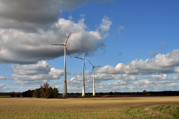 Energy. Windmills in the field