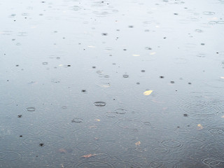 raindrops fall in puddle asphalt road in autumn