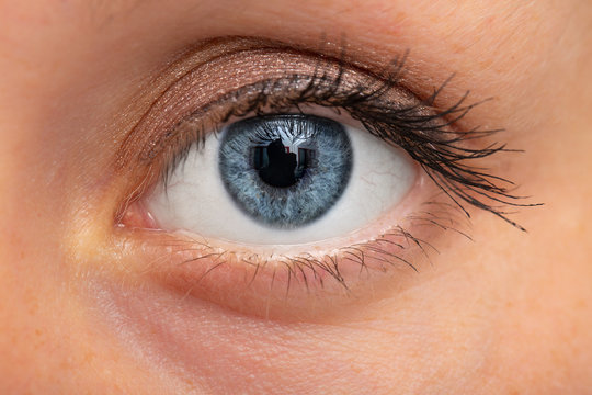 Macro image of female blue eye