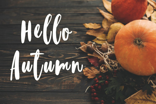 Hello Autumn Text. Hello Fall sign on pumpkin, autumn vegetables with colorful leaves,acorns,nuts, berries on wooden rustic table. Fall seasons greeting card. Atmospheric image