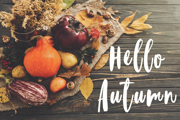 Hello Autumn Text. Hello Fall sign on beautiful composition of pumpkin, autumn vegetables with colorful leaves,acorns,nuts, berries on wooden rustic table. Atmospheric image