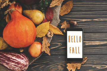 Hello Fall Text. Hello Autumn sign on phone empty screen and beautiful Pumpkin with bright autumn leaves, acorns, nuts, berries on wooden rustic table, flat lay.  Atmospheric image