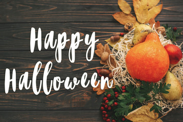 Happy Halloween Text on beautiful composition of Pumpkin, autumn vegetables with colorful leaves,acorns,nuts, berries on wooden rustic table. Seasons greeting card. Atmospheric image