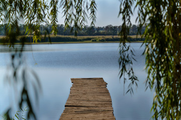 bridge on the river