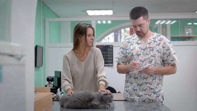Vet talking to owner of cat in clinic