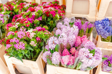 fresh flowers at a city floral market