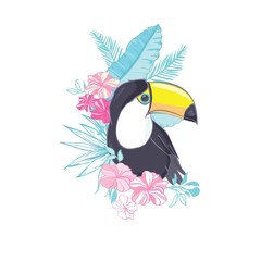 An illustration of a nice toucan in vector format. A cute toucan bird image for kid's education and fun in nursery and schools, and decoration purposes. Jungle animals collection