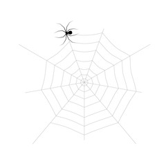 Spider spinning web isolated on white background. Vector