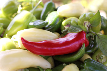 fresh vegetable mix/ red pepper on a background of white and green fruits