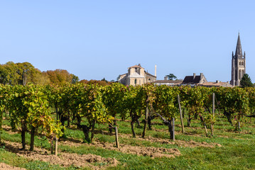 Fototapeta na wymiar Vineyard at Saint-Emilion village, Aquitaine, France