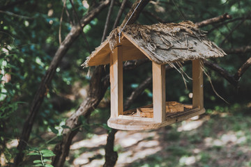Wooden bird feeder on branch