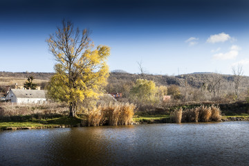 Fototapeta na wymiar Cold spring day near a beautiful fishing lake in Sarisap, Hungary.