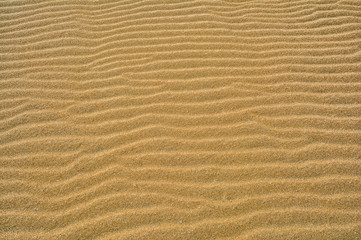 Fototapeta na wymiar Close-up of sand on beach with wind ripples