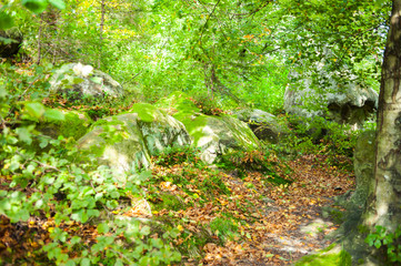 Obraz premium The rocky mountain peaks in the national park