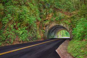 Smoky Mountain Tunnel in Spring