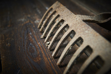 Old rusty rake lying on a bare wooden board. Selective focus