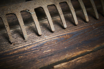 Old rusty rake lying on a bare wooden board. Selective focus