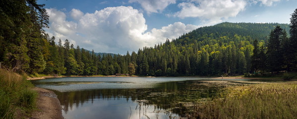 Beautiful views of the mountain lake and the mountains covered with forest in the summer. Popular tourist attraction. Fantastic landscape of Lake Sinevir in the Carpathians, Ukraine.