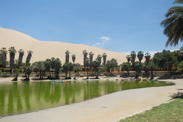 oasis huacachina peru