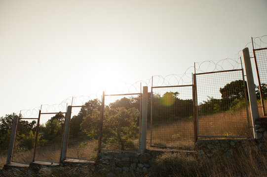 state border with high razor barbed wire fencing on sunset with green trees and yellow grass