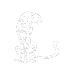 cheetah sits drawing lines, vector