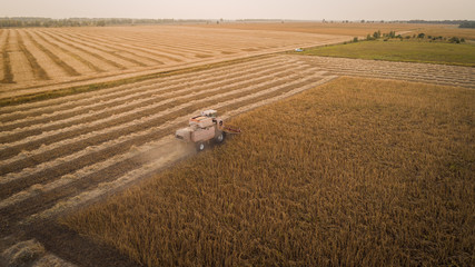 Harvester machine working in field . Combine harvester agriculture machine harvesting golden ripe...