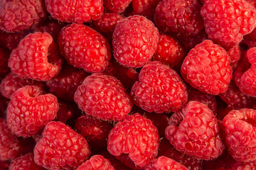 Delicious fresh red raspberry as background