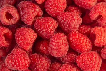 Delicious fresh red raspberry as background