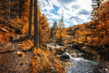 Berglandschaft mit Wald und Fluss im Herbst