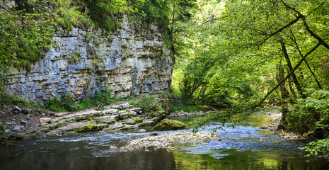 Naklejka premium Bach