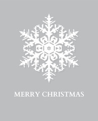 Vector Christmas Snowflake