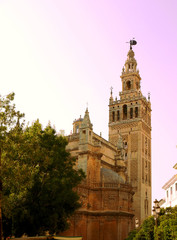 Fototapeta na wymiar The Cathedral of Saint Mary of the See in Seville Spain